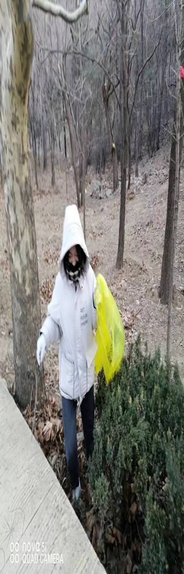 3190e3b37f86deef1a127ef945d8509