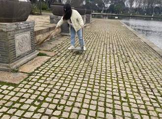 8c5a8bf40a6b474b8bf0ca2c6c5d770