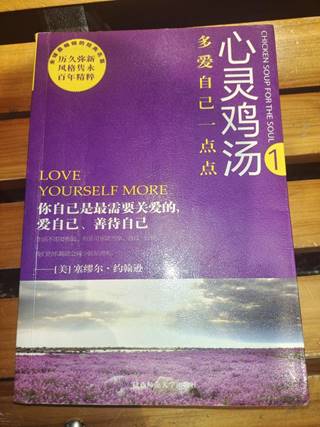 图示, 示意图

中度可信度描述已自动生成:ver1